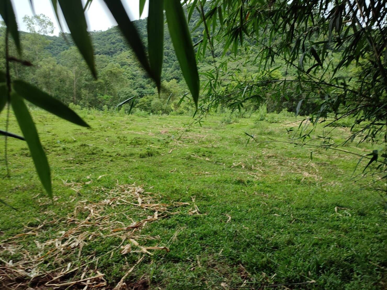 Chácara à venda com 3 quartos, 200000m² - Foto 9