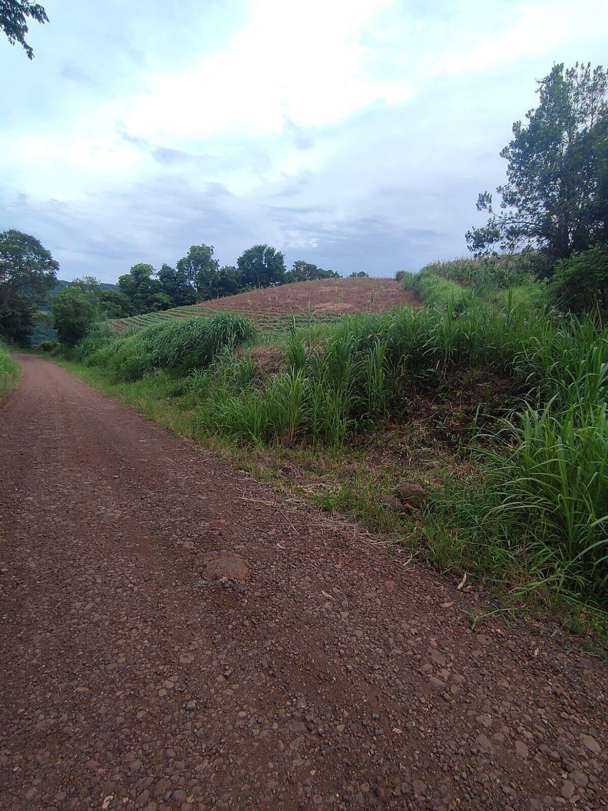Chácara à venda com 3 quartos, 200000m² - Foto 10