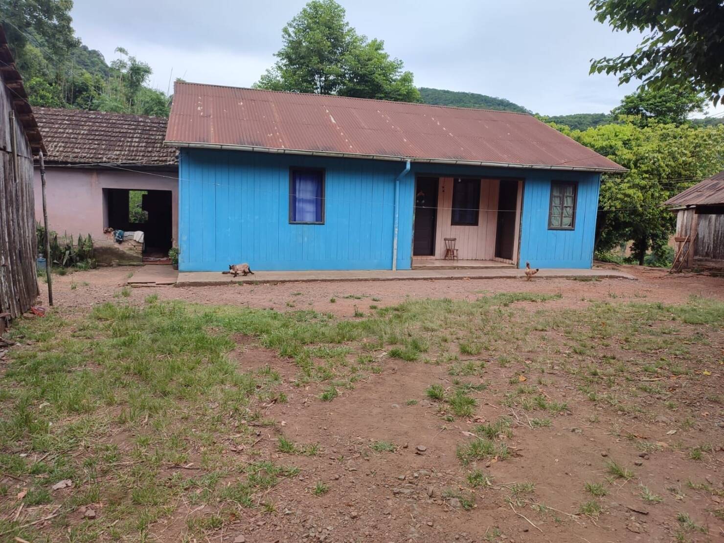 Chácara à venda com 3 quartos, 200000m² - Foto 13