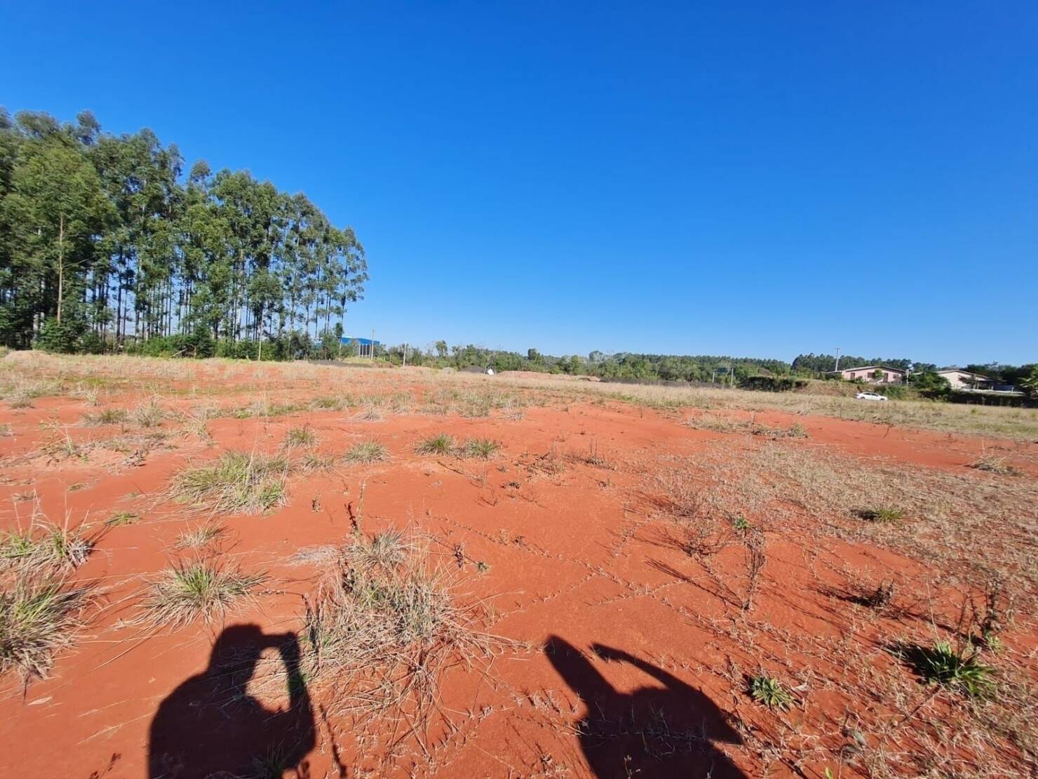 Terreno, 1 hectares - Foto 3