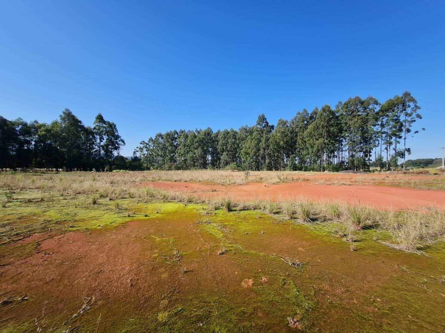 Terreno, 1 hectares - Foto 7