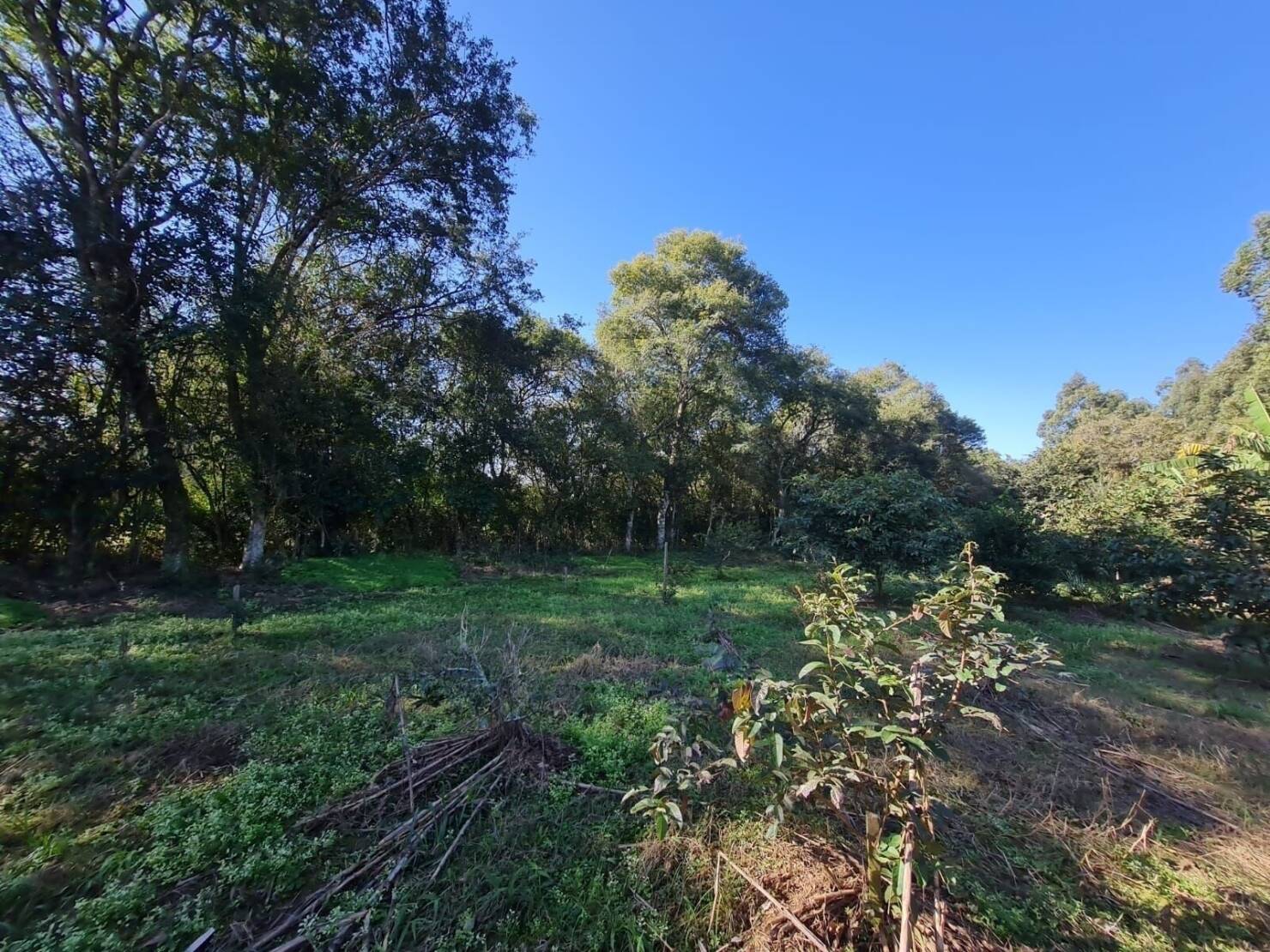 Terreno, 1 hectares - Foto 16