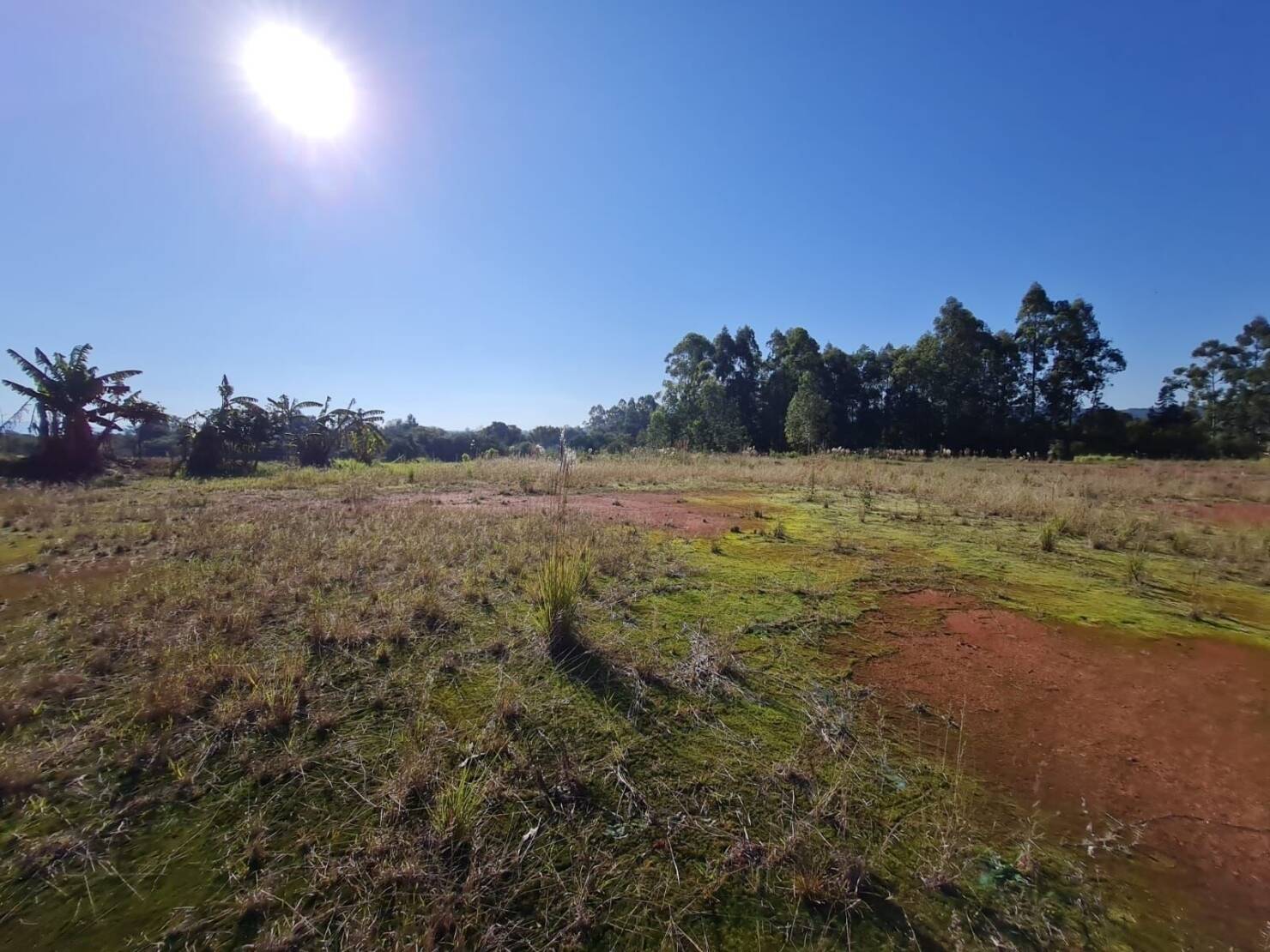 Terreno, 1 hectares - Foto 9