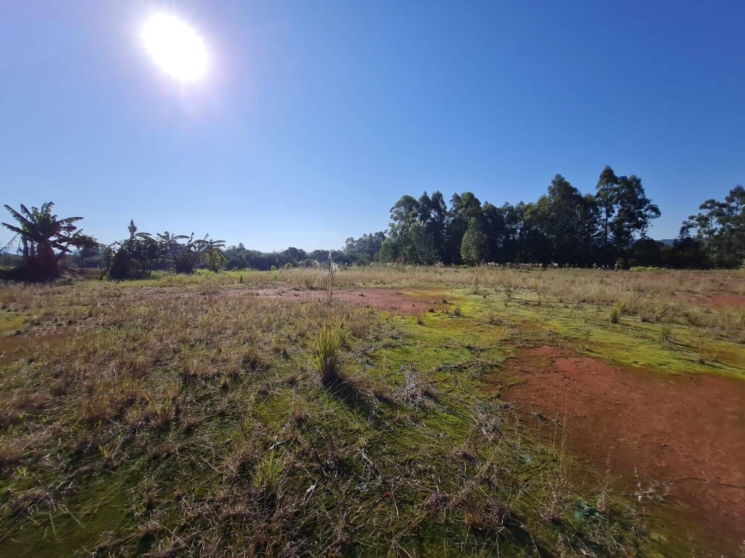 Terreno, 3 hectares - Foto 1