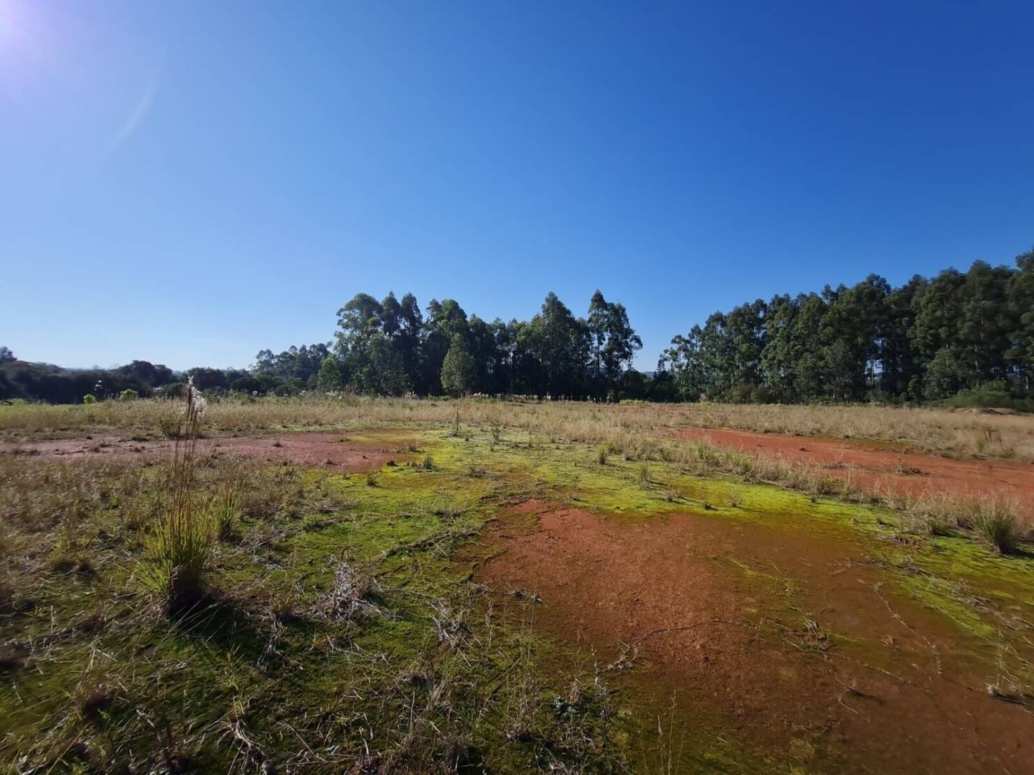 Terreno, 3 hectares - Foto 2