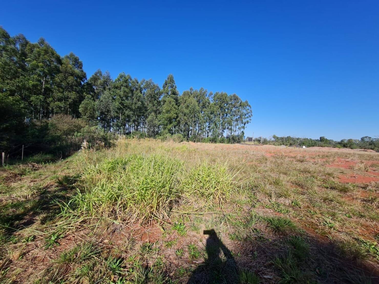 Terreno, 3 hectares - Foto 9