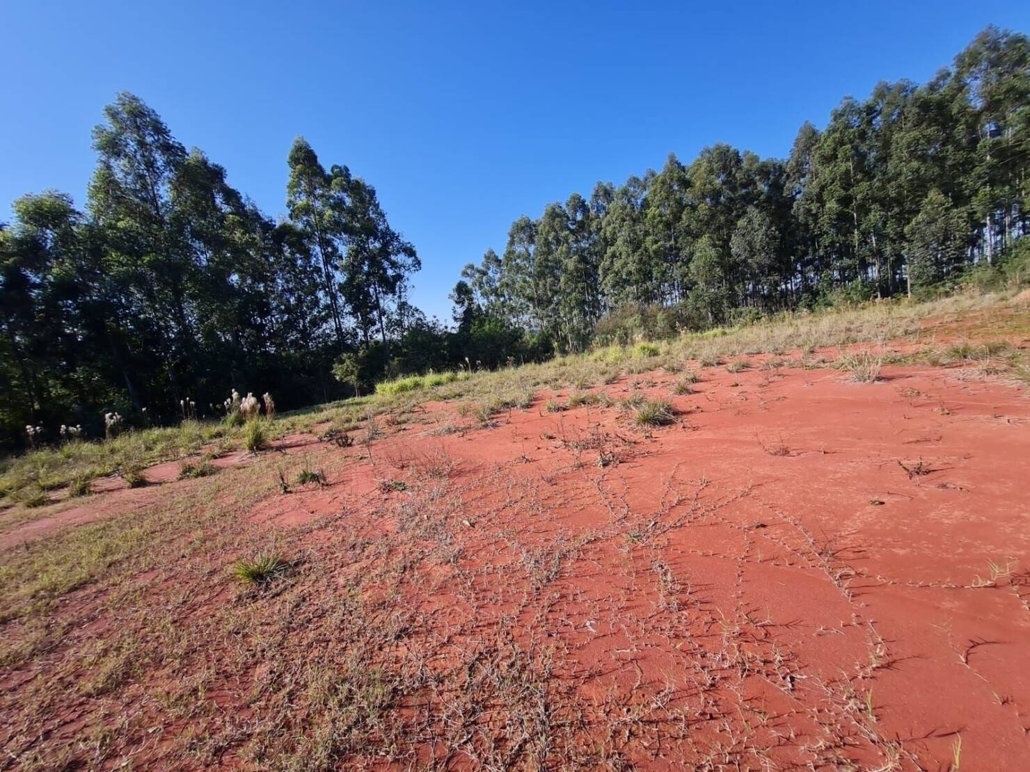 Terreno, 3 hectares - Foto 8