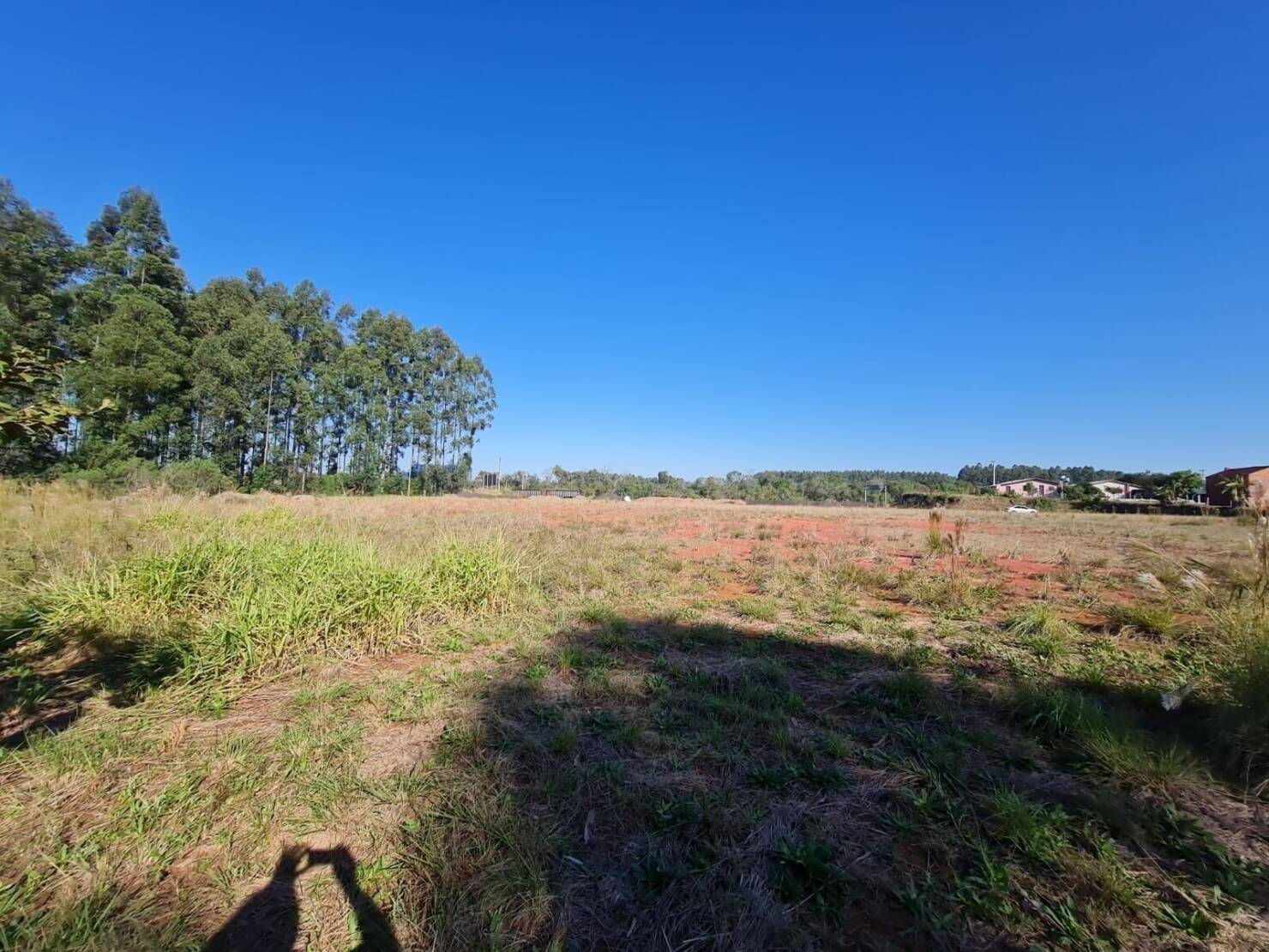 Terreno, 3 hectares - Foto 10