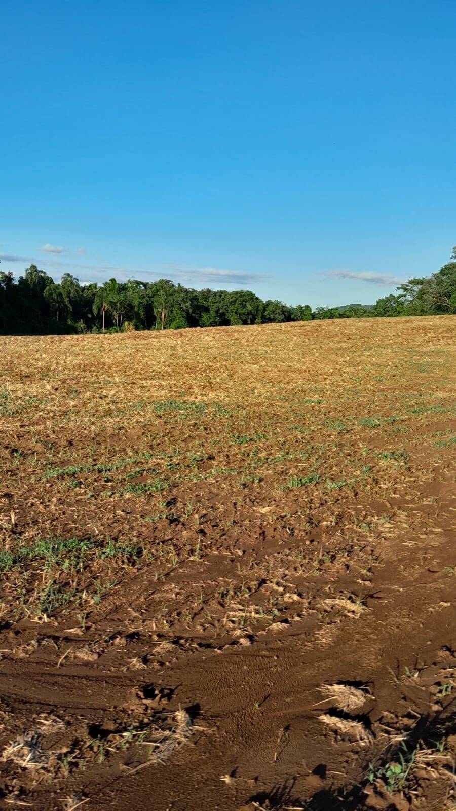 Terreno, 6 hectares - Foto 2