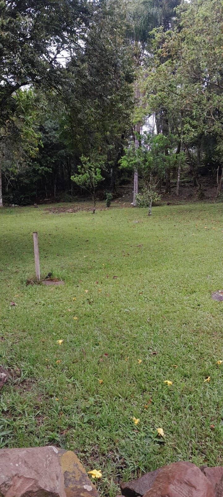 Terreno, 6 hectares - Foto 4