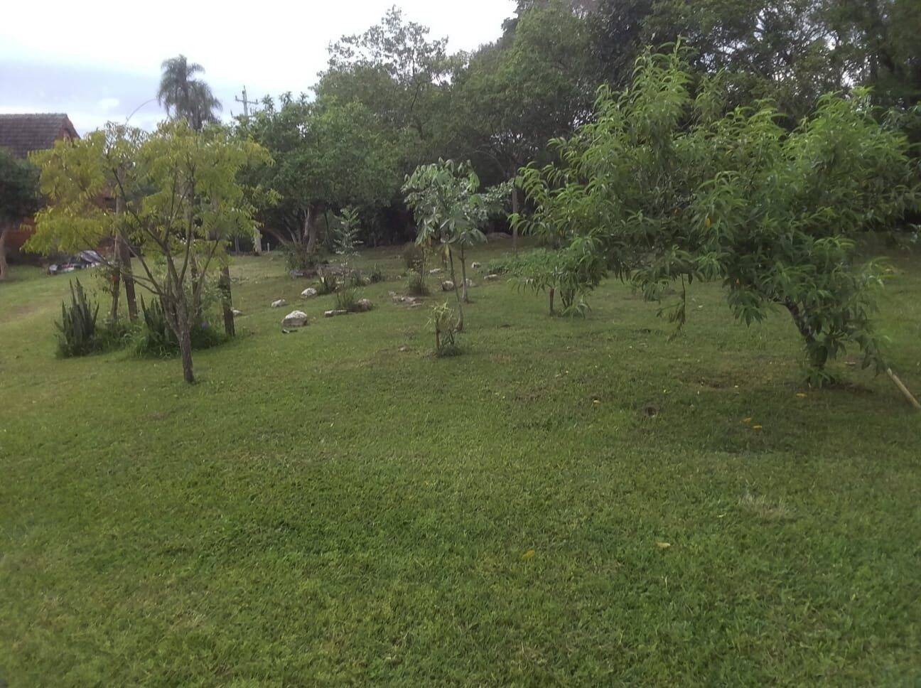 Terreno, 6 hectares - Foto 5