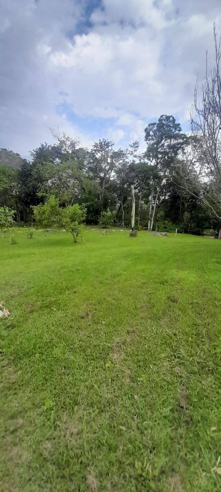 Terreno, 6 hectares - Foto 6