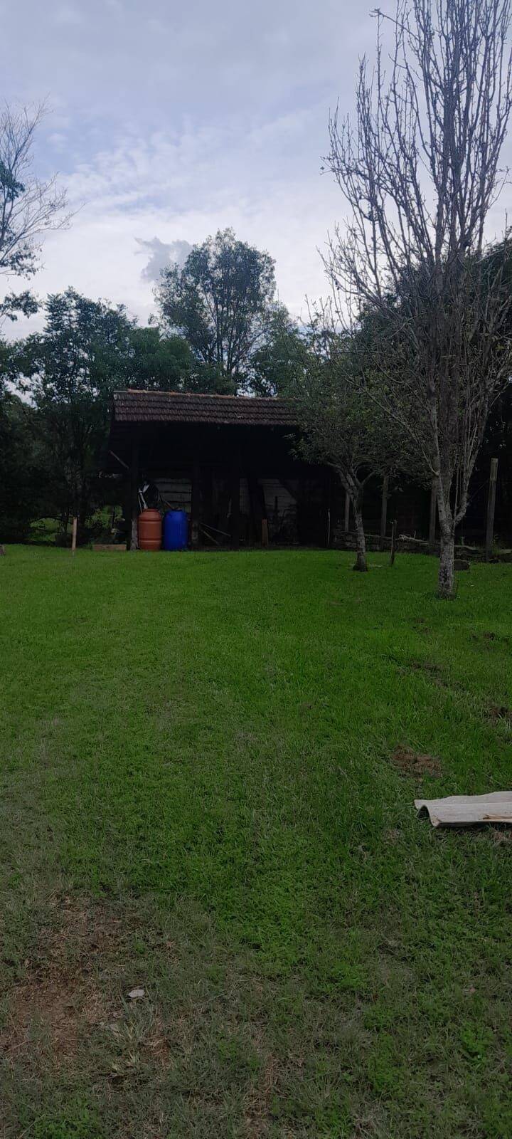 Terreno, 6 hectares - Foto 7