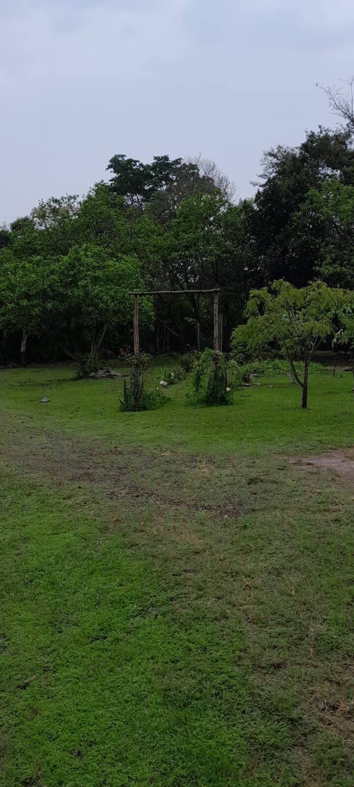 Terreno, 6 hectares - Foto 8