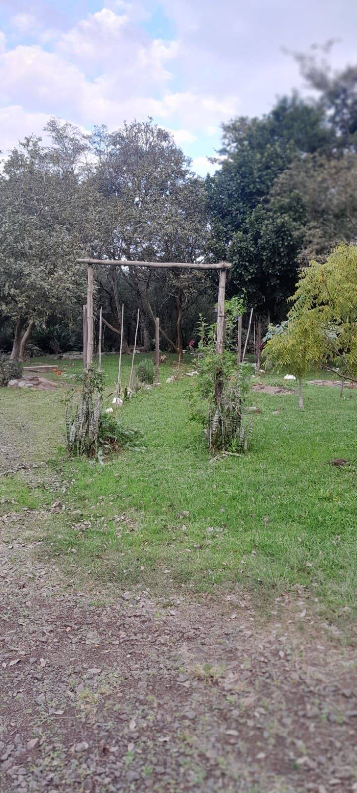 Terreno, 6 hectares - Foto 12