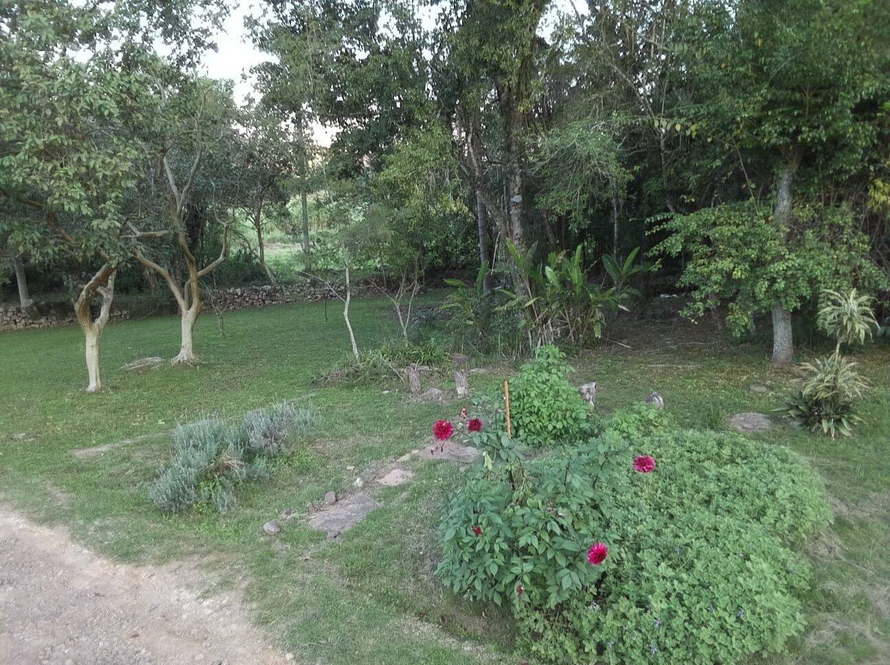 Terreno, 6 hectares - Foto 13