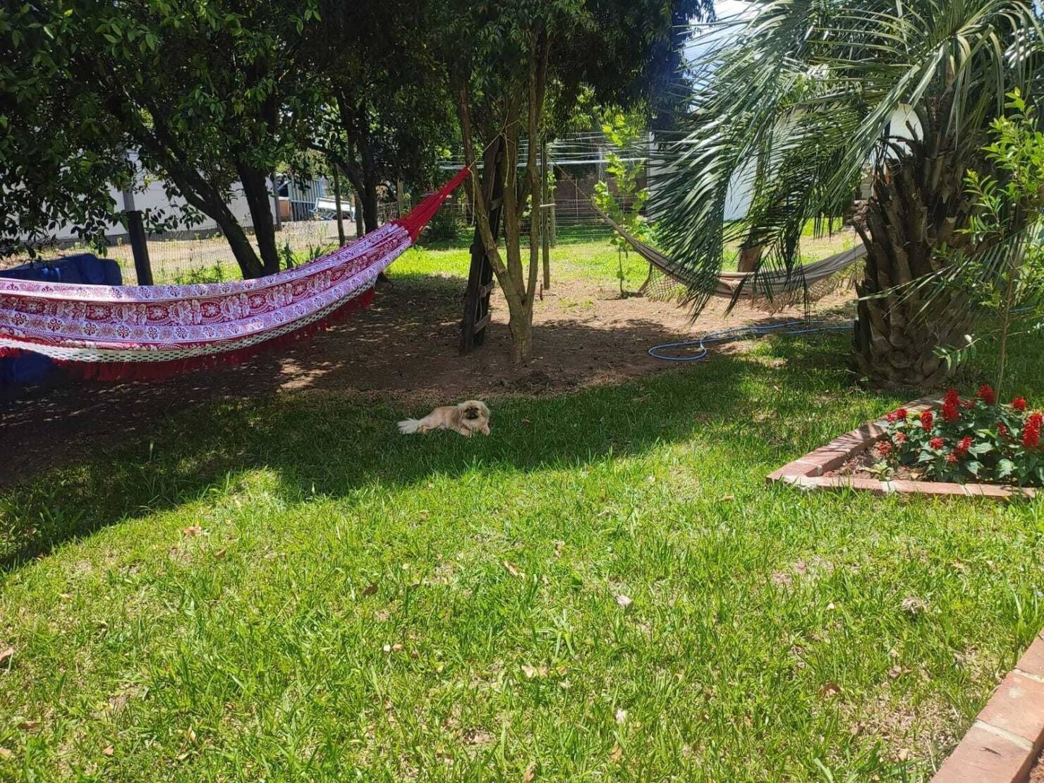 Chácara, 3 quartos, 2 hectares - Foto 24