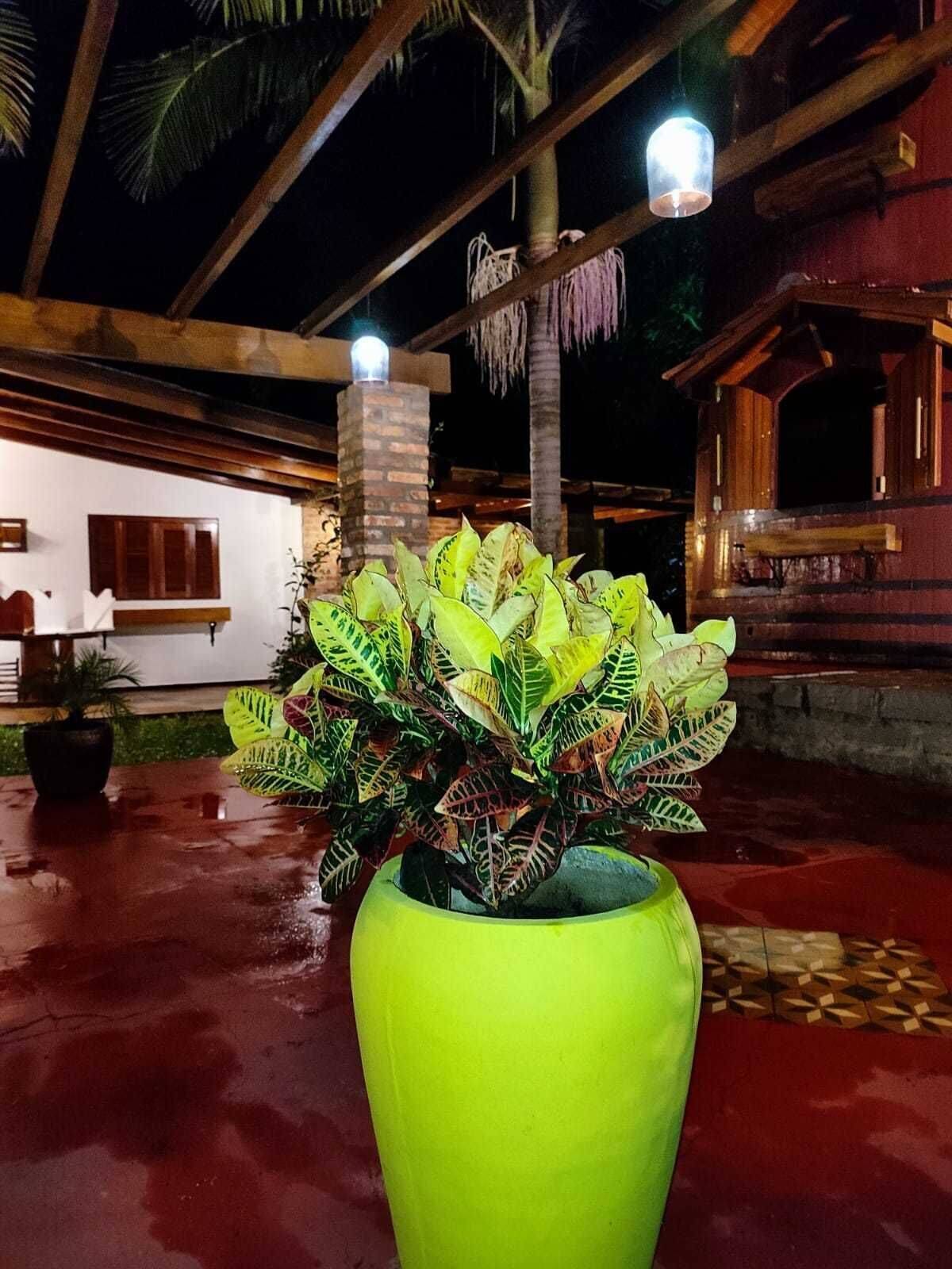 Chácara, 3 quartos, 2 hectares - Foto 26