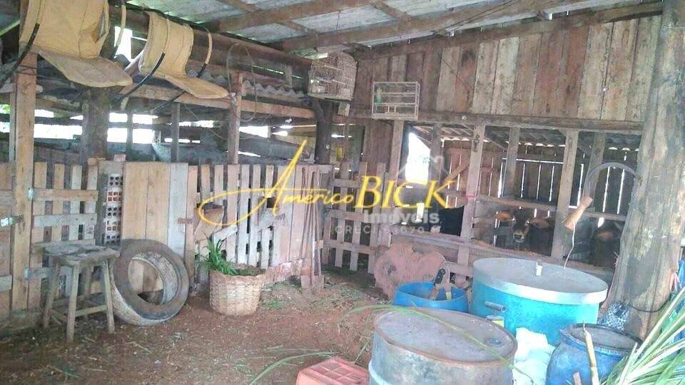 Chácara, 2 quartos, 2 hectares - Foto 10