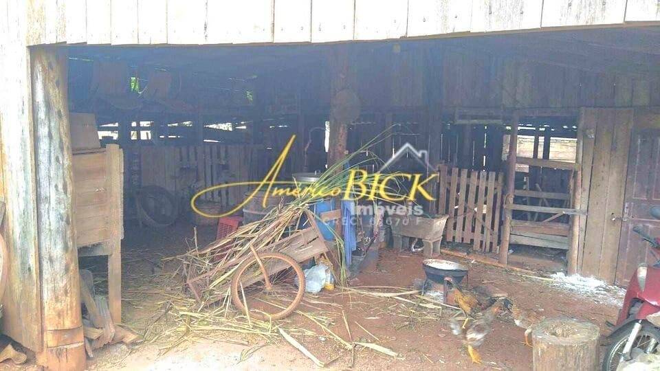 Chácara, 2 quartos, 2 hectares - Foto 11