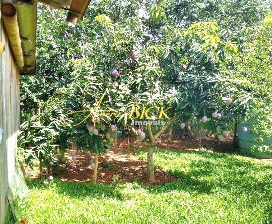 Chácara, 2 quartos, 2 hectares - Foto 13