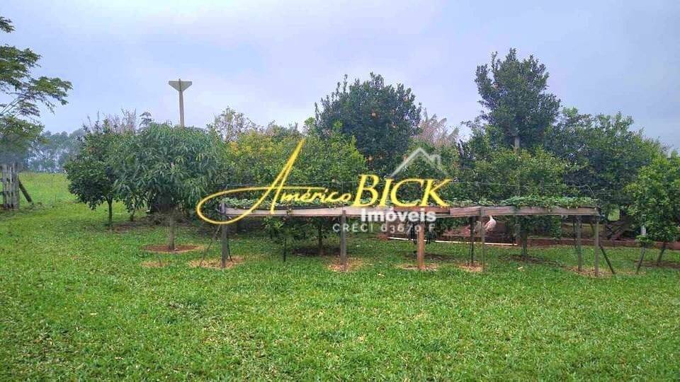 Chácara, 2 quartos, 2 hectares - Foto 14