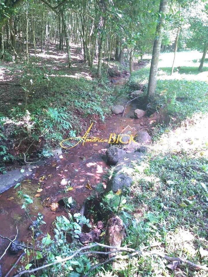 Chácara, 2 quartos, 2 hectares - Foto 15