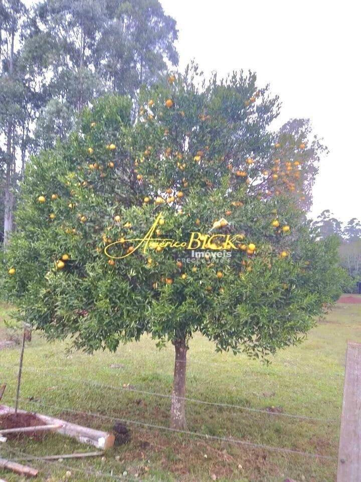 Chácara, 2 quartos, 2 hectares - Foto 17