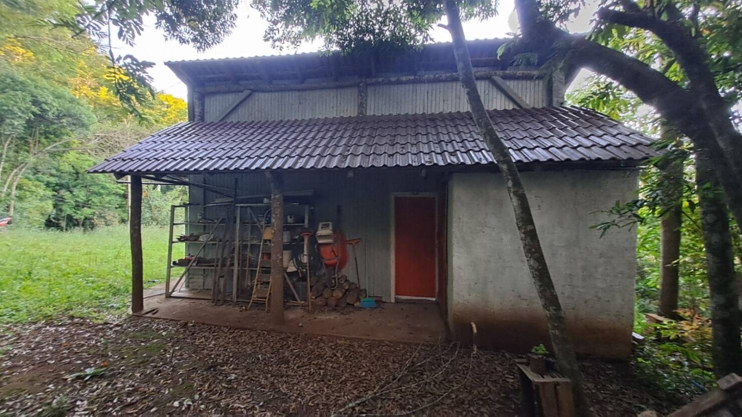 Terreno, 9 hectares - Foto 5