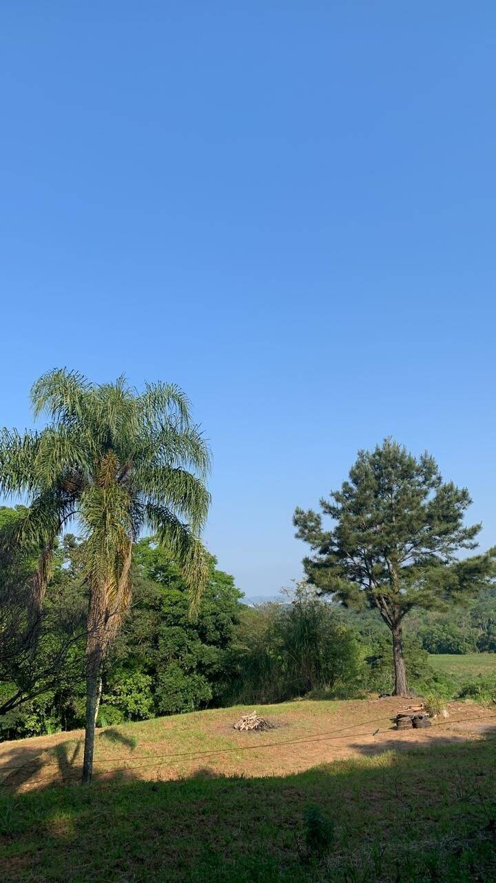 Terreno, 9 hectares - Foto 8