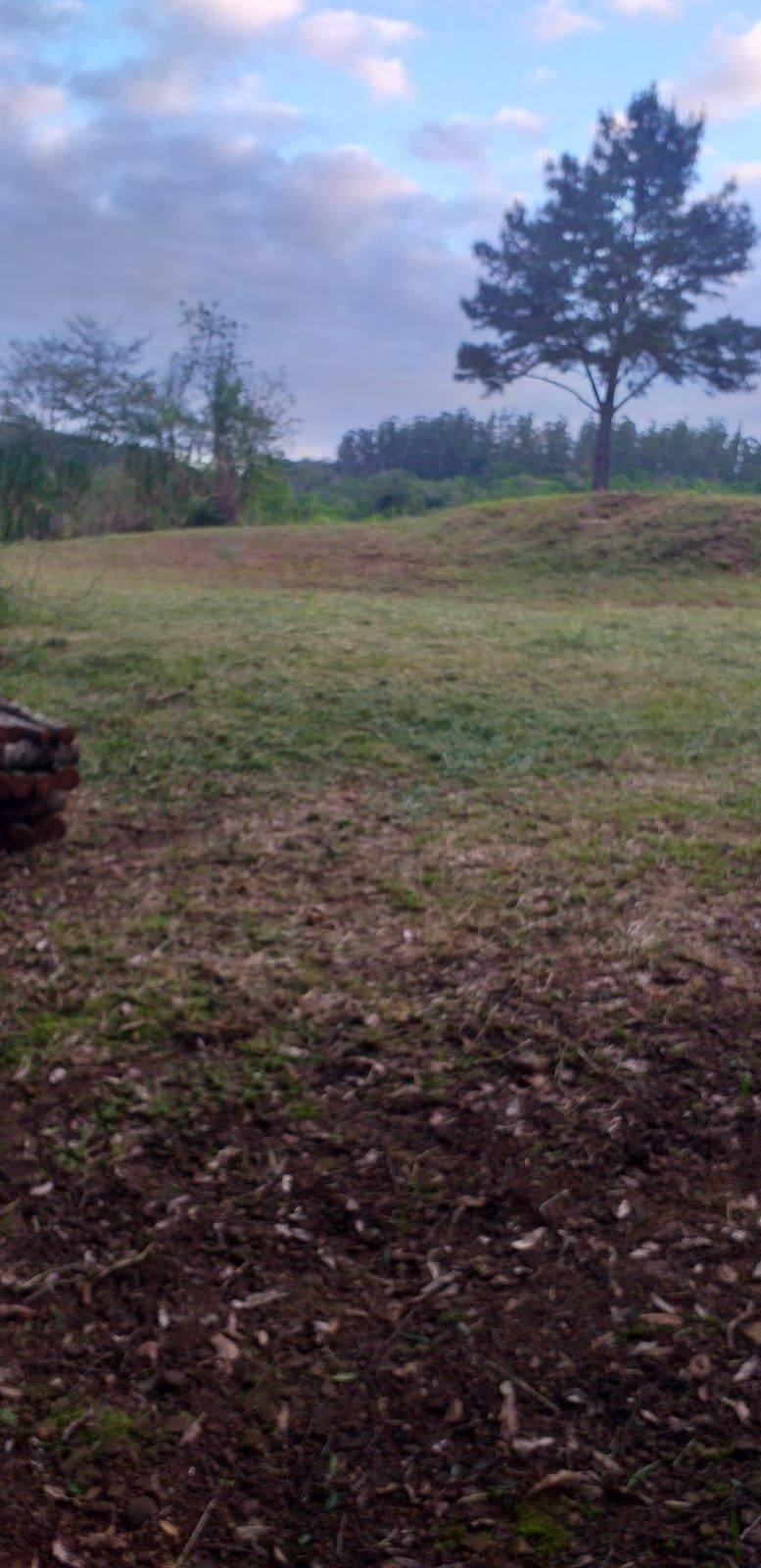 Terreno, 9 hectares - Foto 9