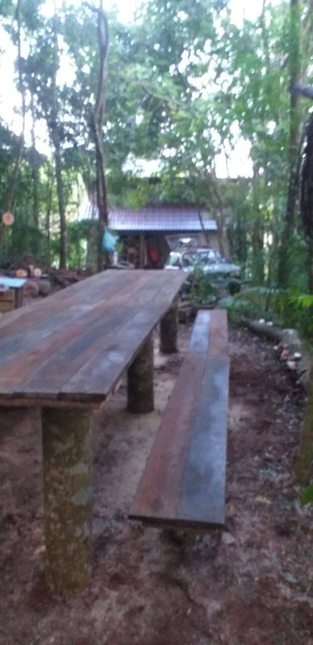 Terreno, 9 hectares - Foto 11