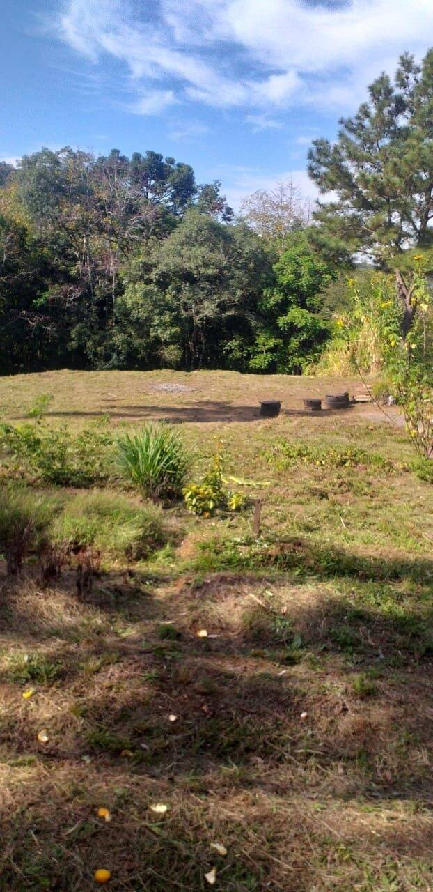 Terreno, 9 hectares - Foto 12