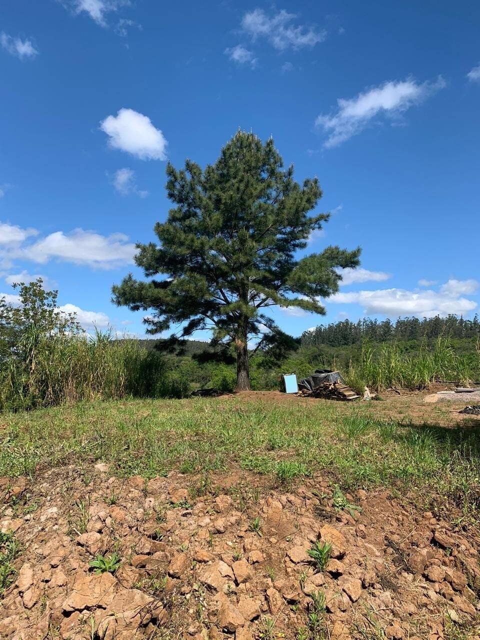 Terreno, 9 hectares - Foto 14