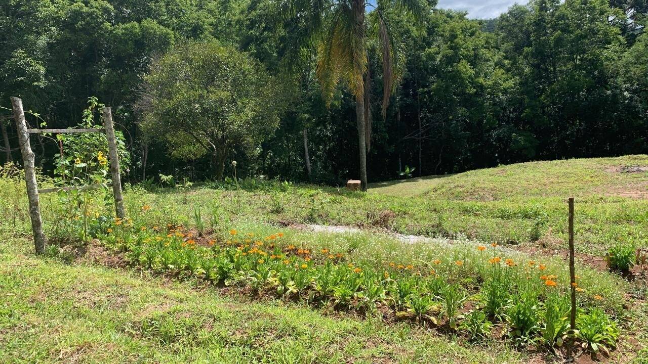 Terreno, 9 hectares - Foto 18