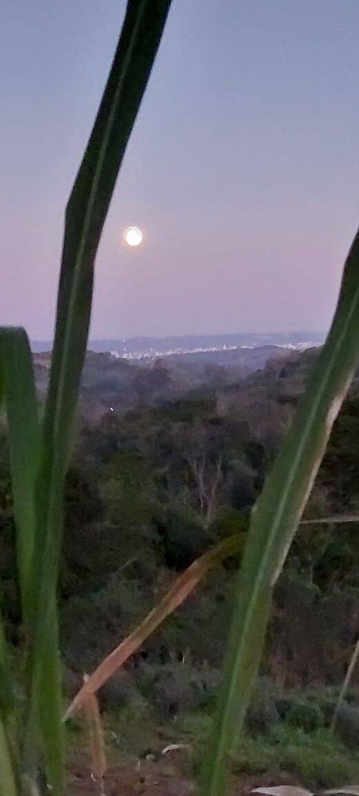 Terreno, 9 hectares - Foto 20