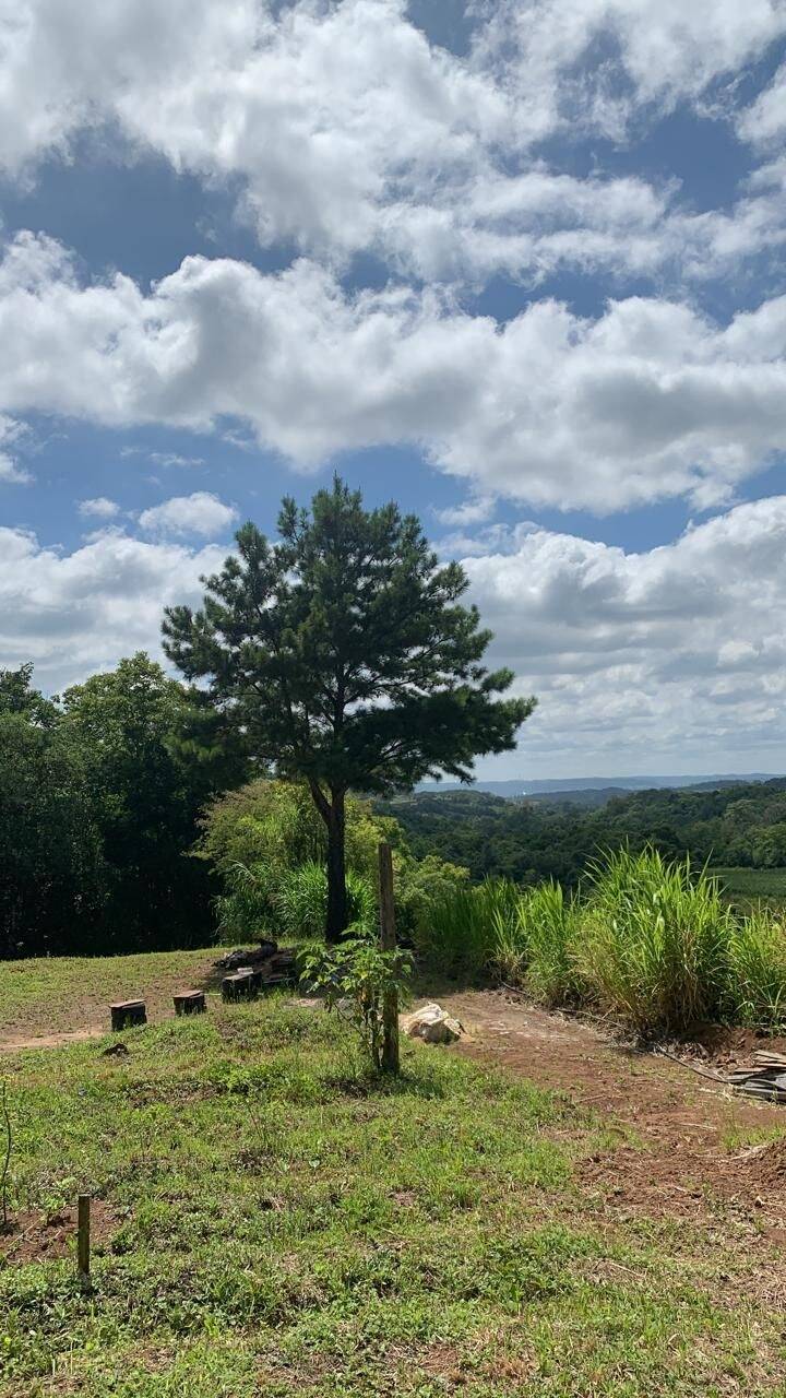 Terreno, 9 hectares - Foto 24