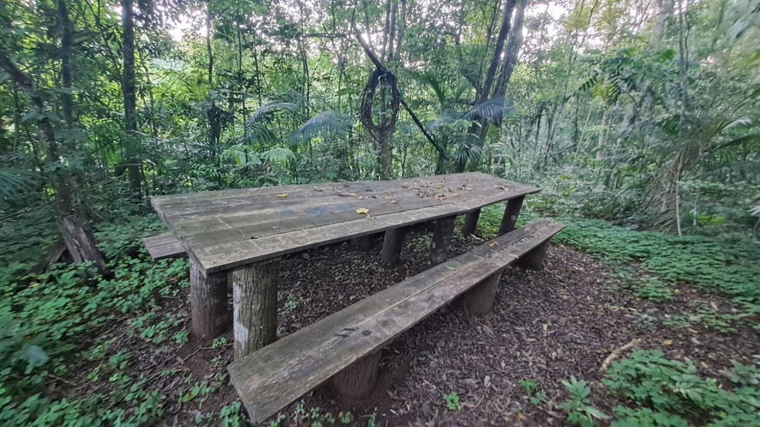 Terreno, 9 hectares - Foto 26