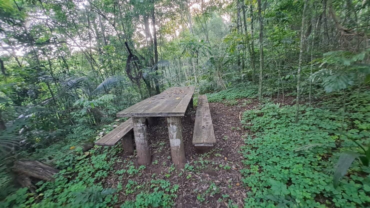 Terreno, 9 hectares - Foto 27