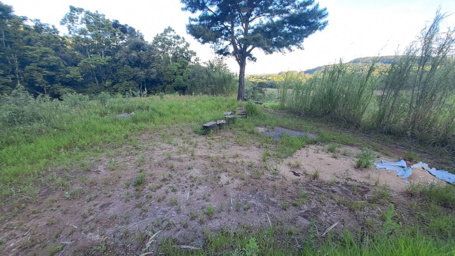 Terreno, 9 hectares - Foto 29