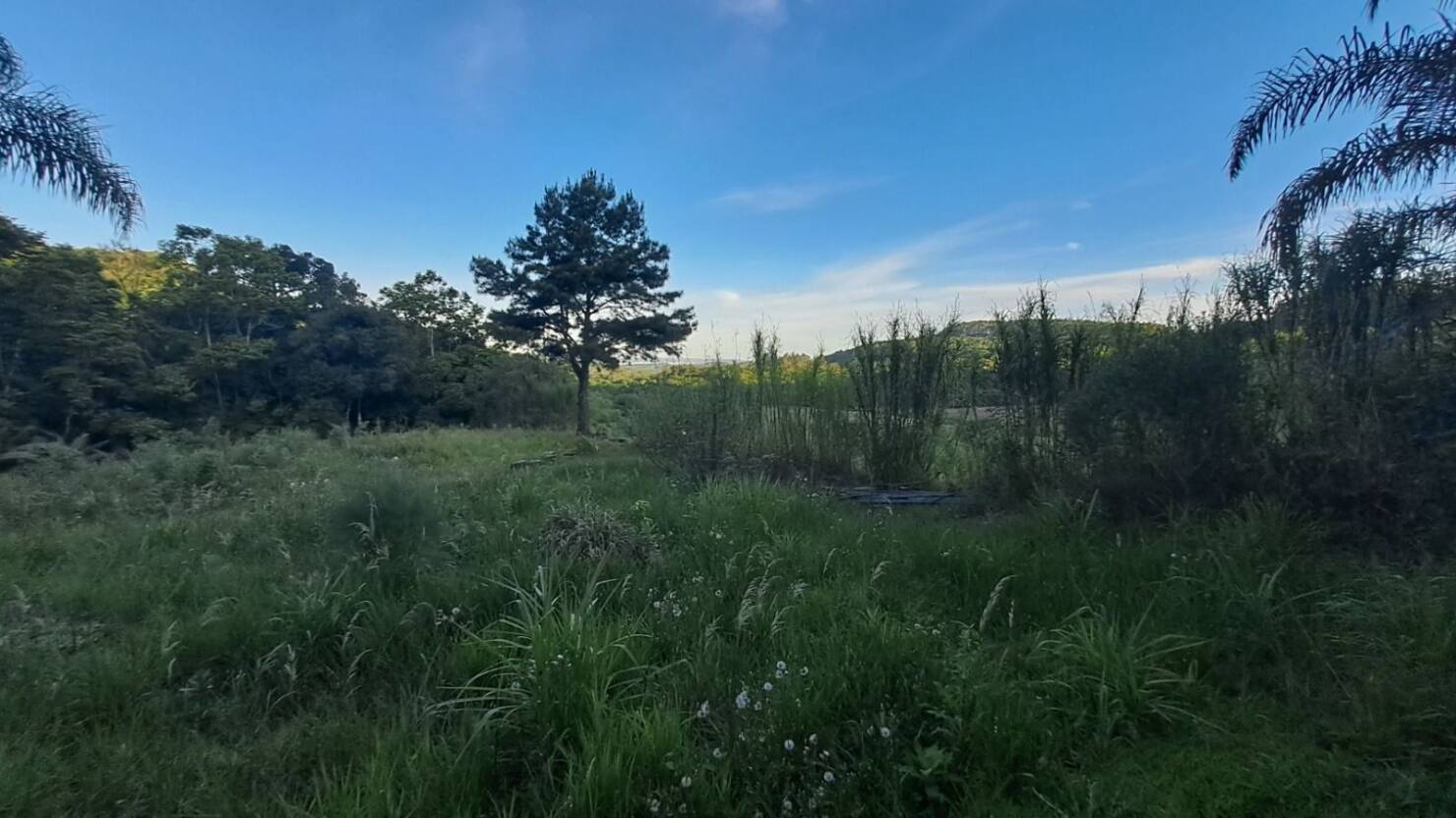 Terreno, 9 hectares - Foto 30