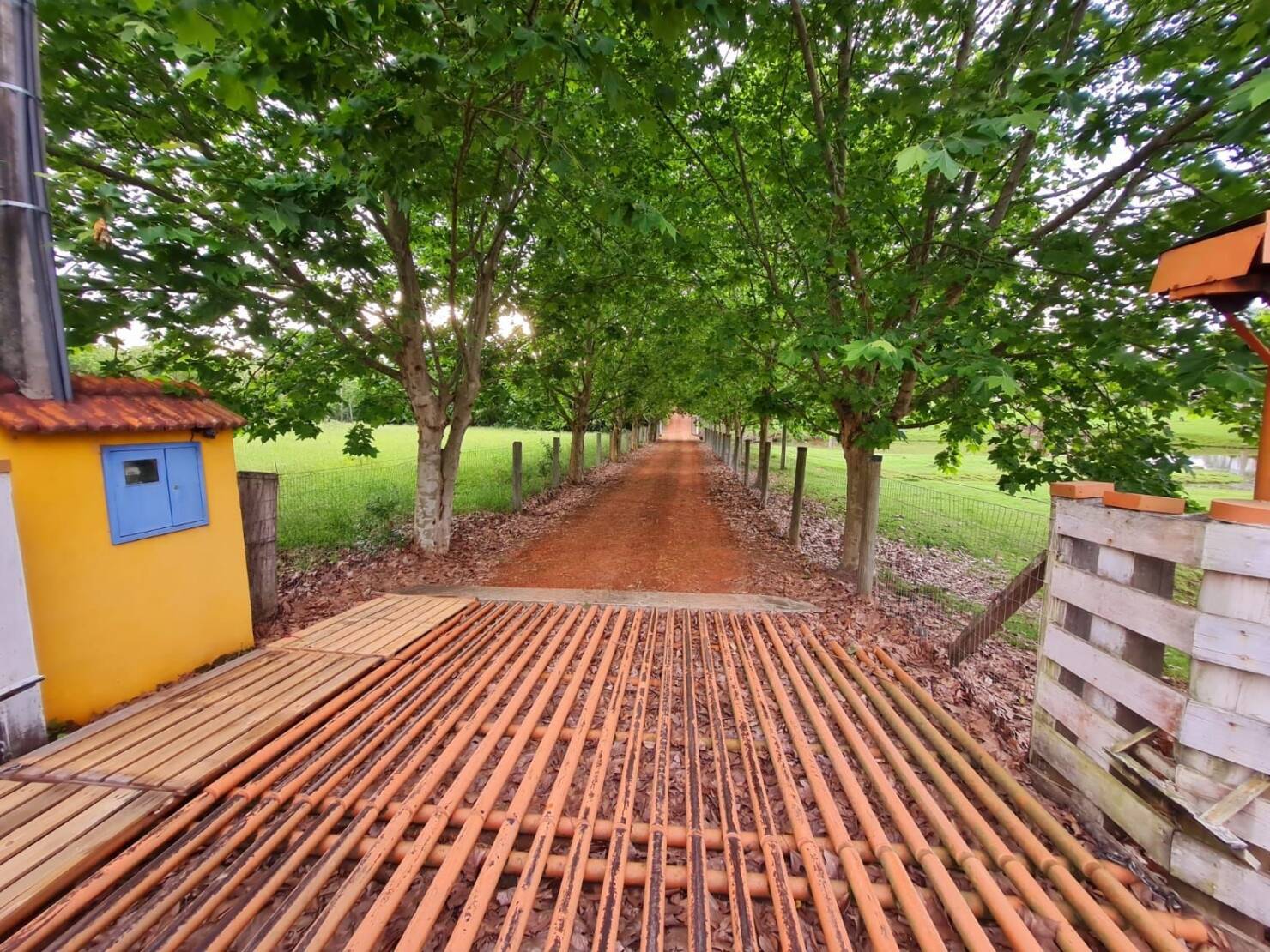 Fazenda à venda com 3 quartos, 400m² - Foto 6