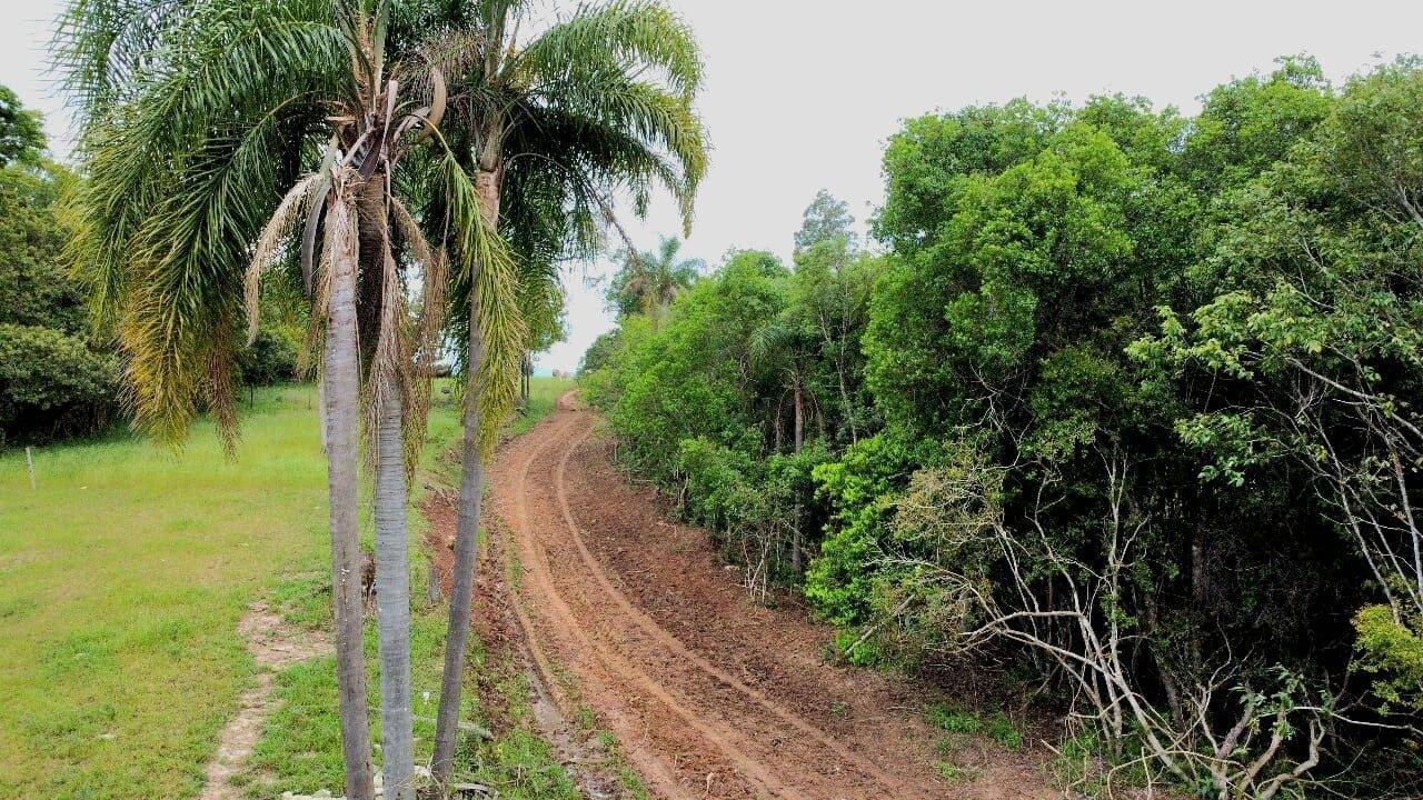 Fazenda à venda com 3 quartos, 400m² - Foto 19
