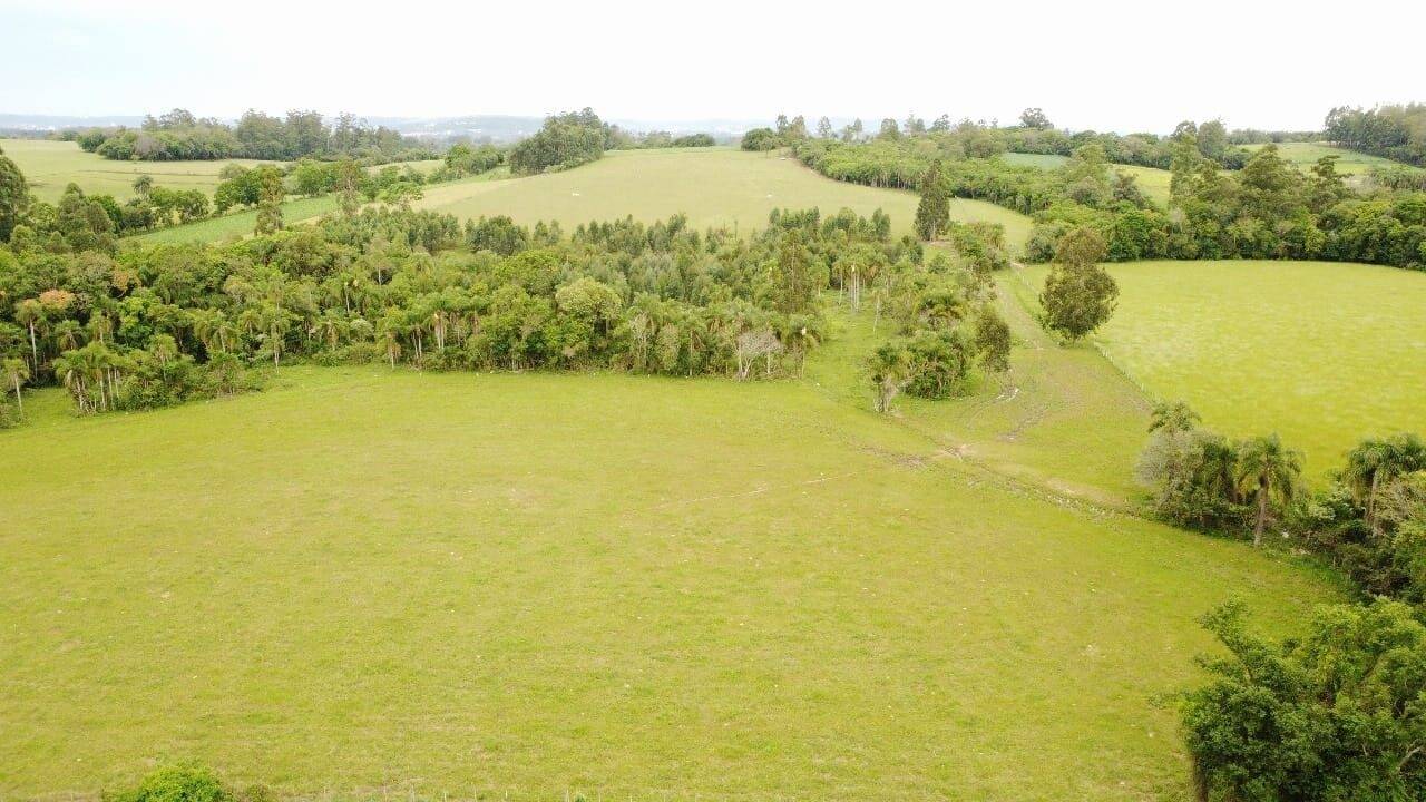 Fazenda à venda com 3 quartos, 400m² - Foto 20
