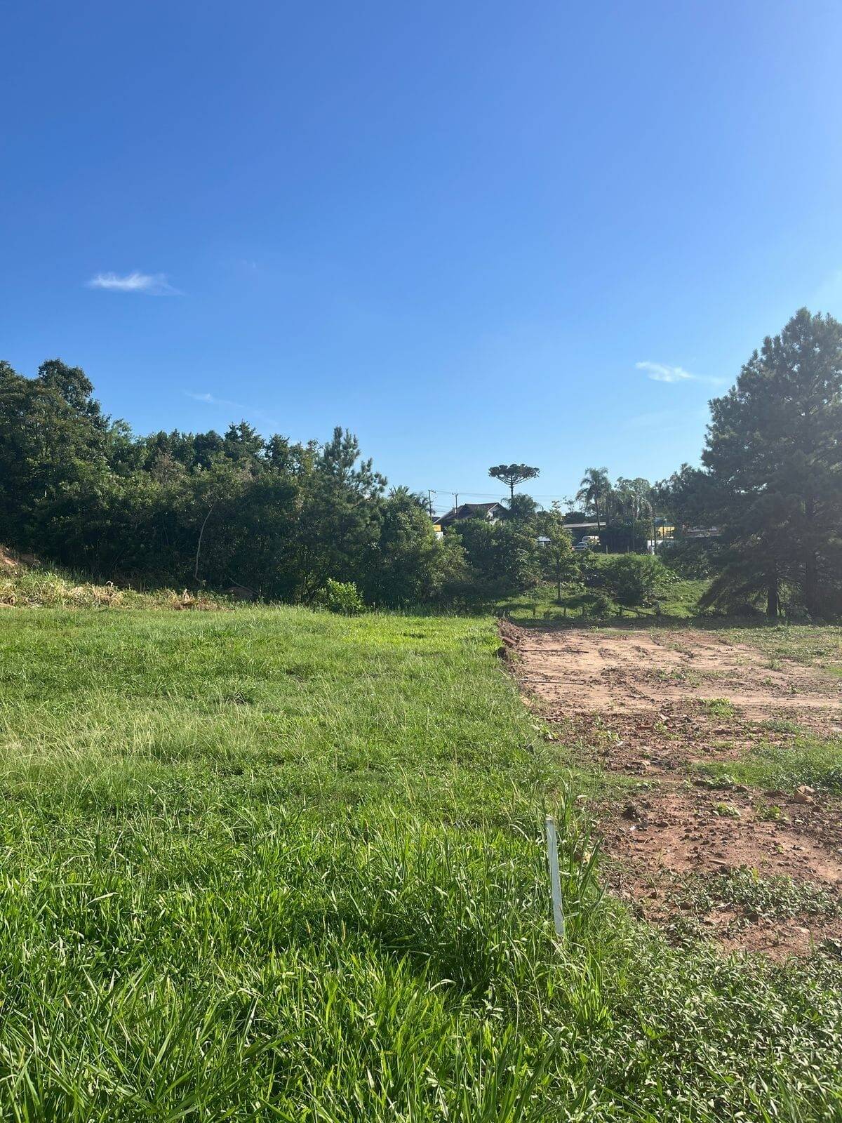 Terreno, 406 m² - Foto 4