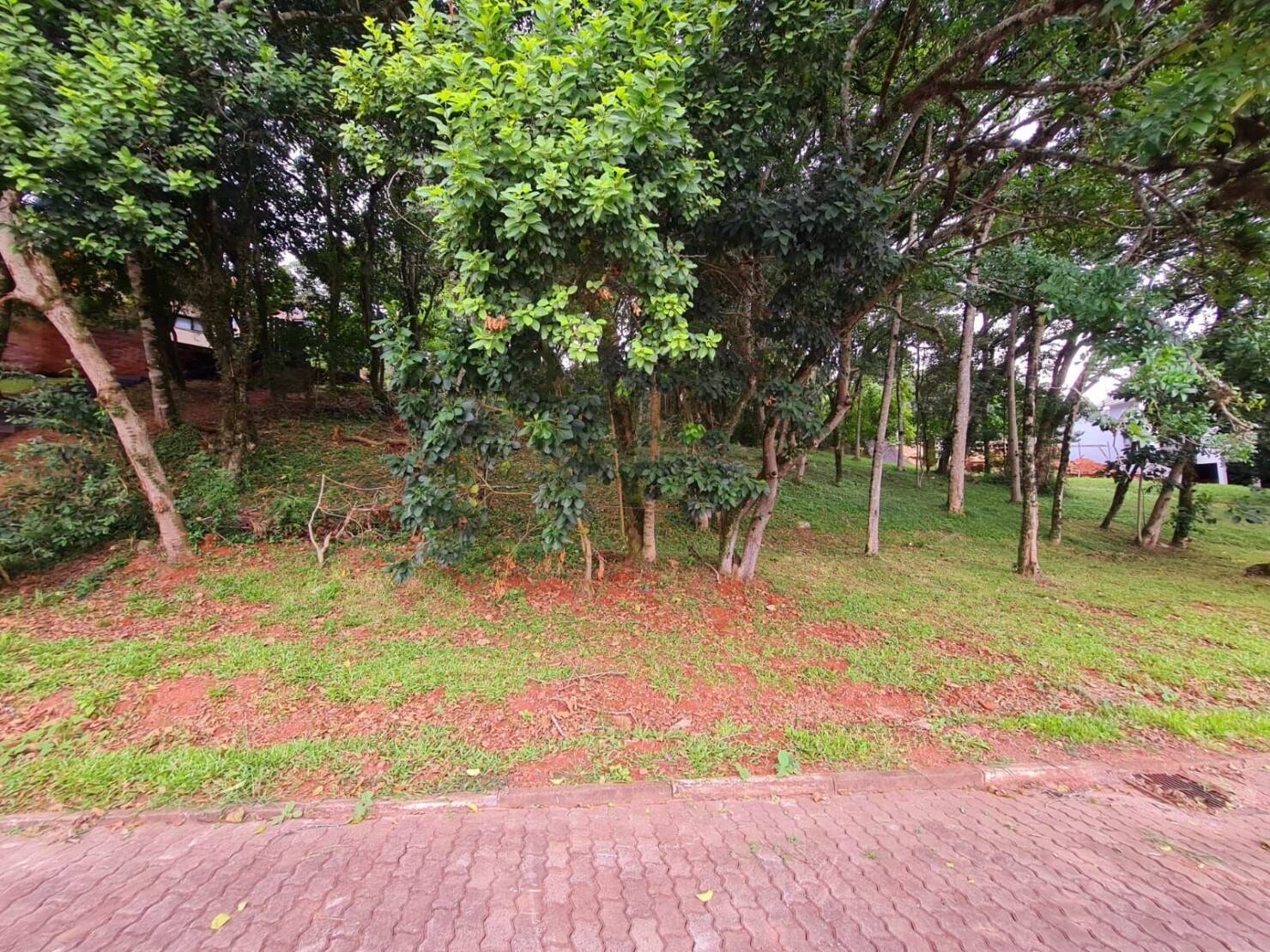 Terreno, 1 m² - Foto 6