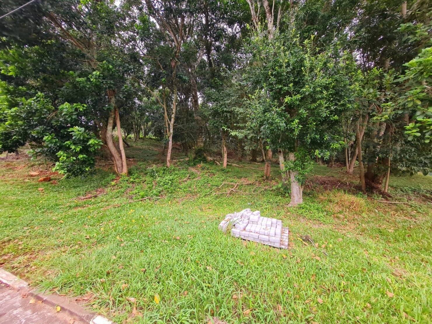 Terreno, 1 m² - Foto 7