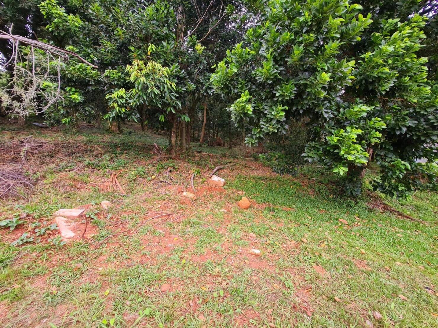 Terreno, 1 m² - Foto 8