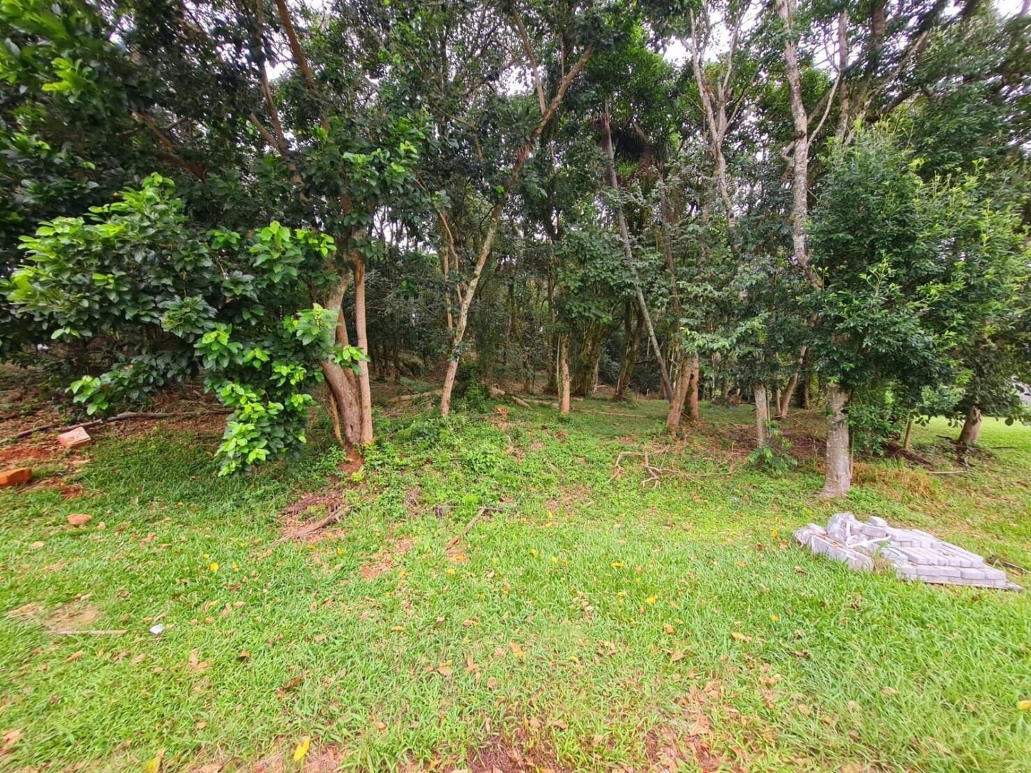 Terreno, 1 m² - Foto 9