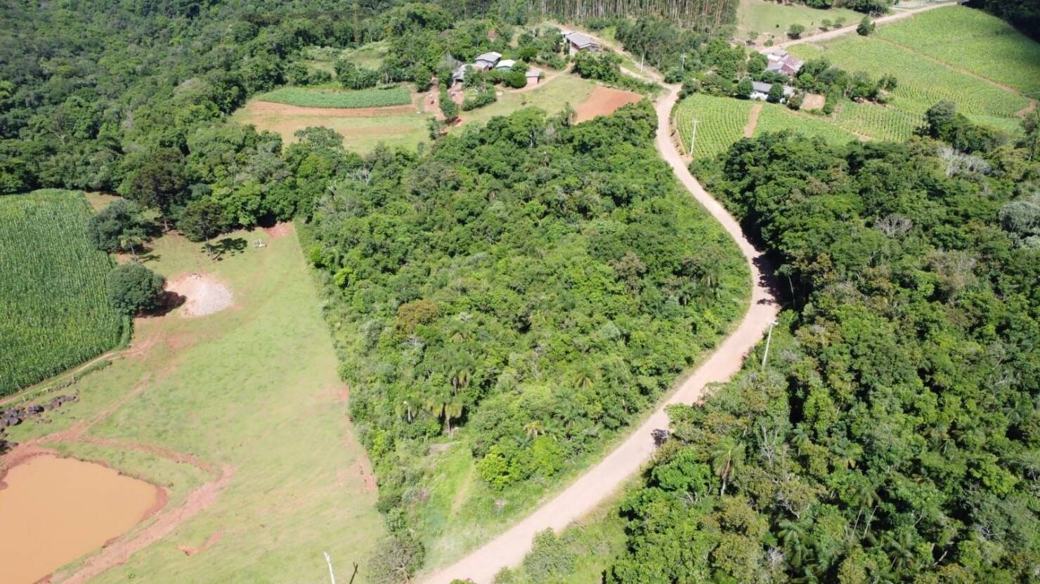 Terreno, 3 hectares - Foto 1